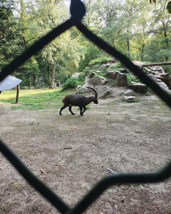 Uhu Pavillon - Wildpark